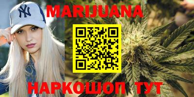 крисы Ливны