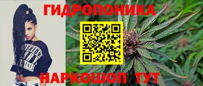 крисы Ливны
