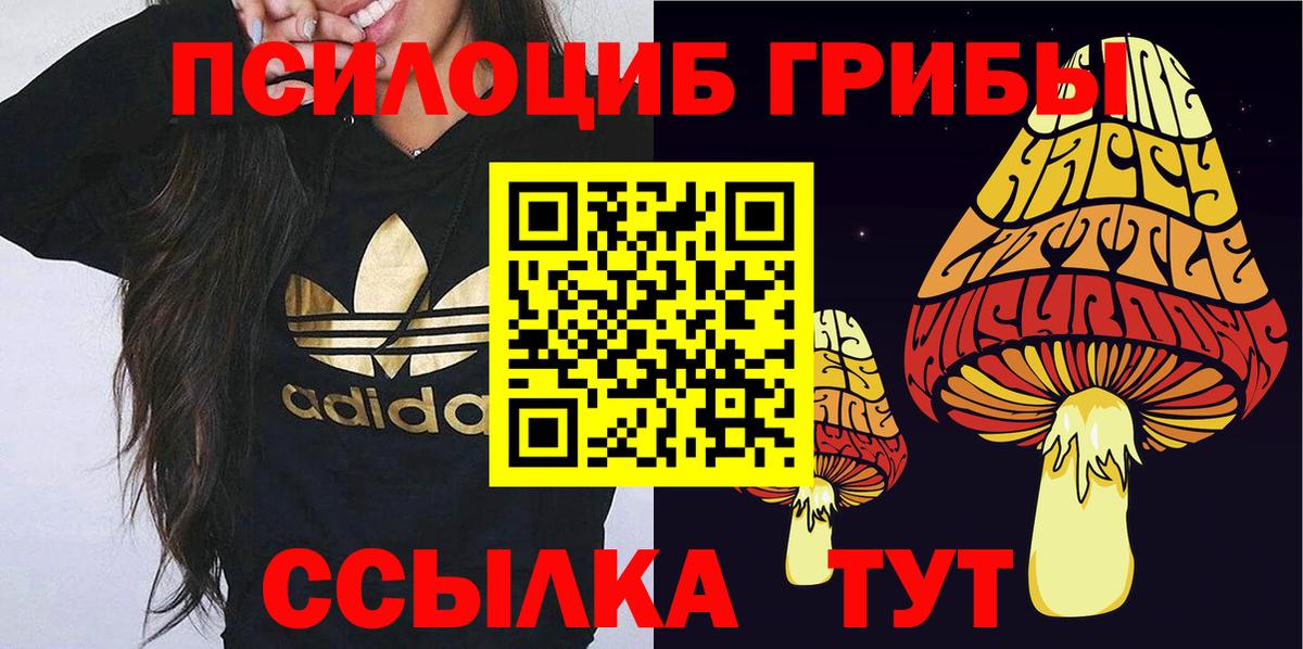 Псилоцибиновые грибы MAGIC MUSHROOMS  Вход с VPN  Нижний Тагил 