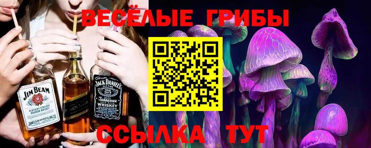 Псилоцибиновые грибы Psilocybe Нижний Тагил